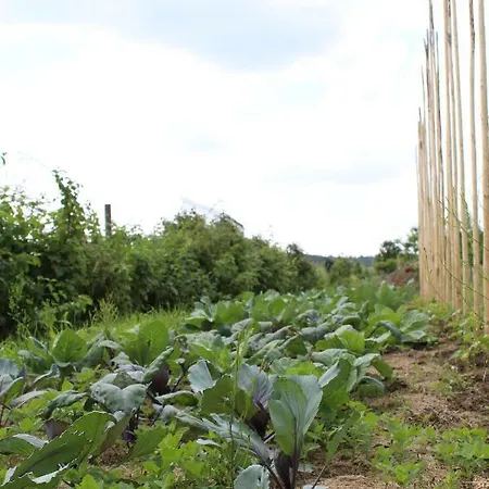 בית נופש Almyssen Alsbach