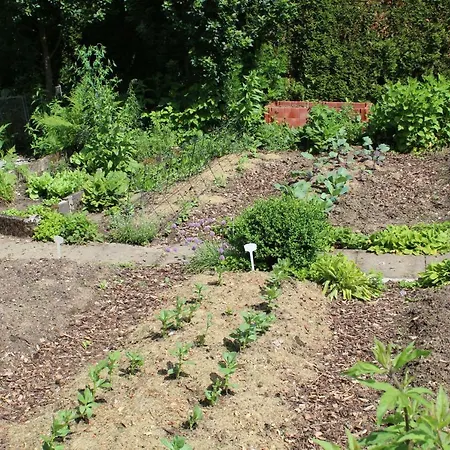 Almyssen بيت للعطل Alsbach