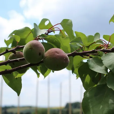 بيت للعطل Almyssen