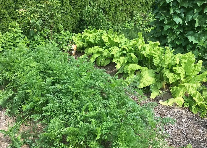 Semesterbostad Almyssen Alsbach