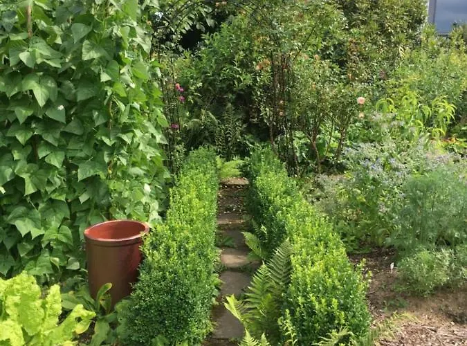 Almyssen Semesterbostad Alsbach