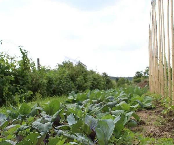 Semesterbostad Almyssen Alsbach