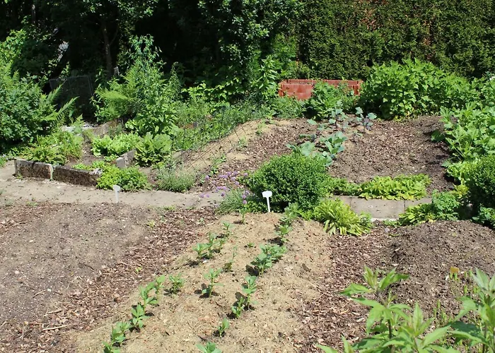 Almyssen Semesterbostad Alsbach